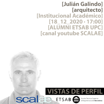 "Vistas de Perfil", Julián Galindo, Institucional Académico